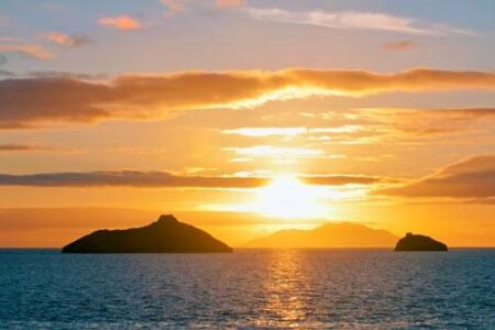 The Arrival of Plants and Animals on the Galapagos Islands Image
